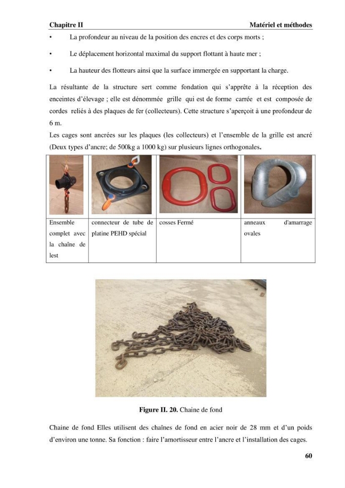 Contribution a la mise en place d.un systeme d\'elevage en cages flottantes du loup de mer et de la daurade royale au niveau de Gouraya (wilaya de Tipaza).