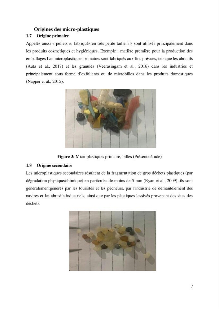Caractérisation des déchets plastiques sur des sites pilotes le long de la côte de la wilaya d’Alger