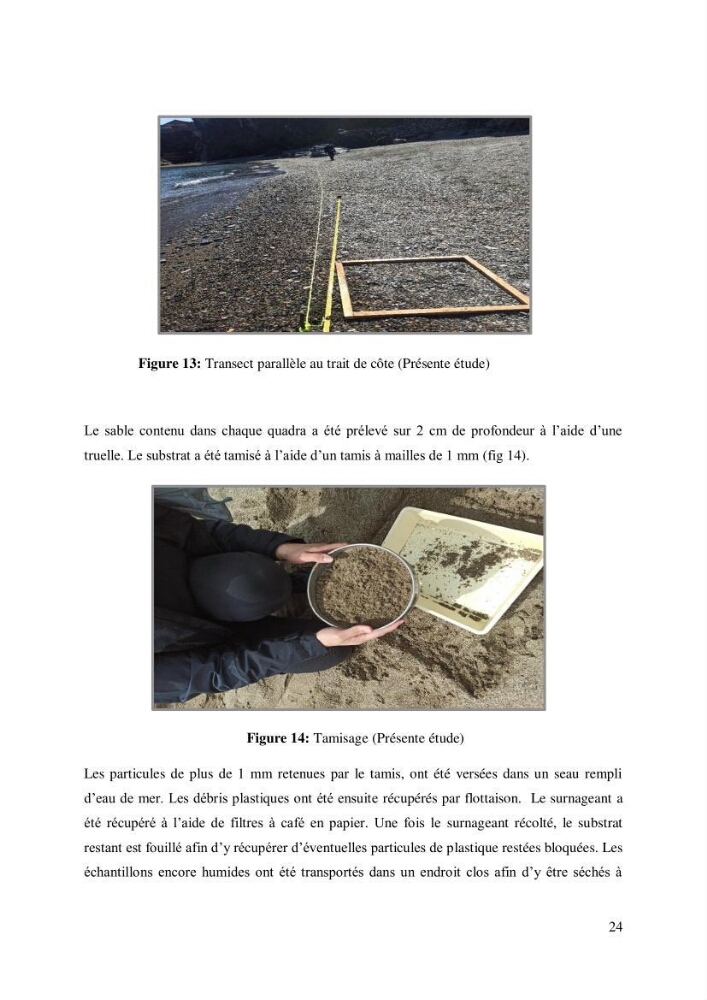 Caractérisation des déchets plastiques sur des sites pilotes le long de la côte de la wilaya d’Alger