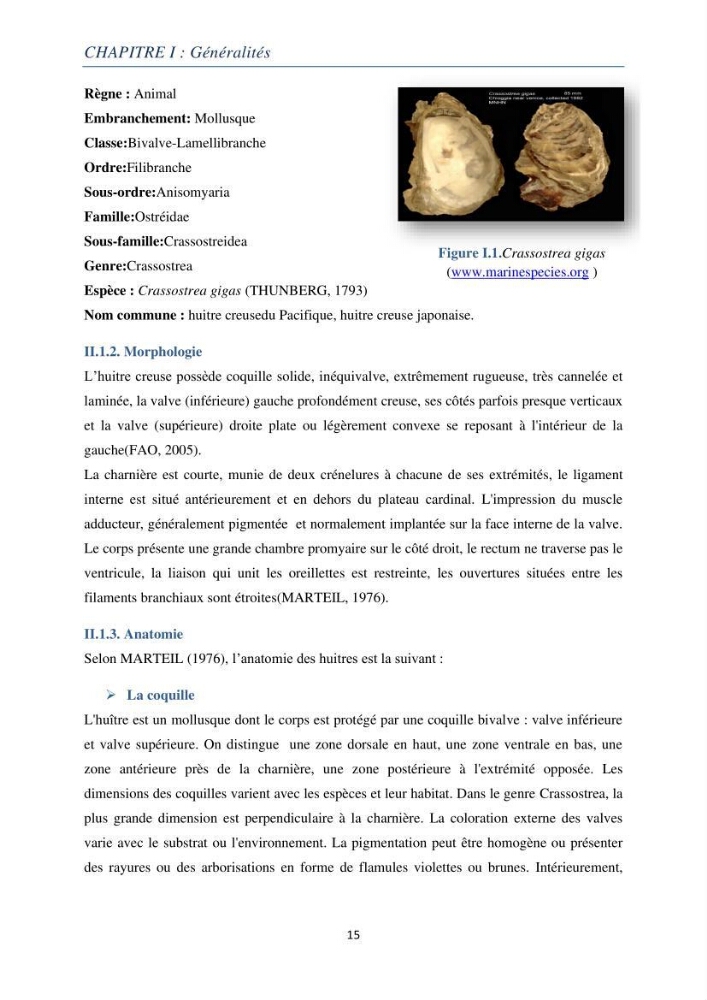 La conchyliculture Production et Elevage