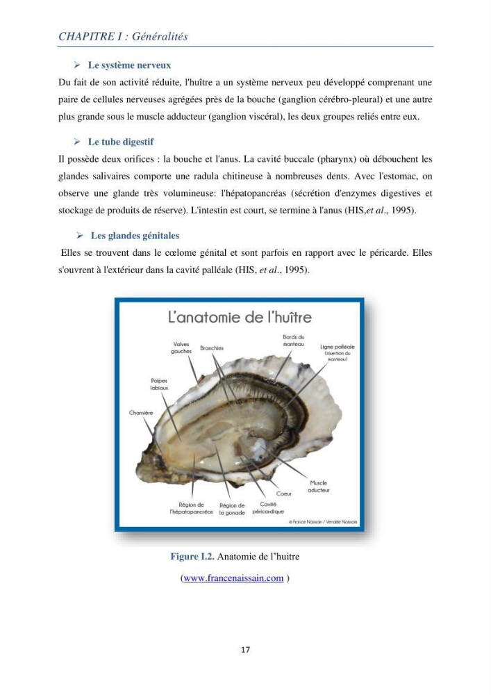 La conchyliculture Production et Elevage