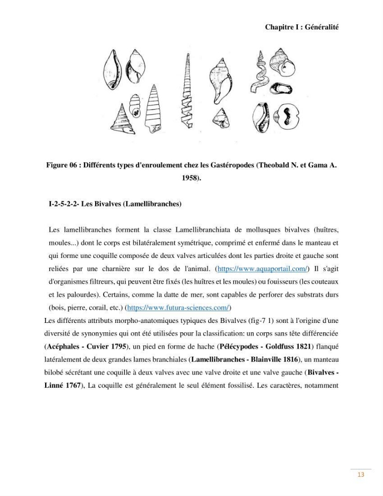Contribution au recensement des mollusques de la région centre (Alger et Tipaza)