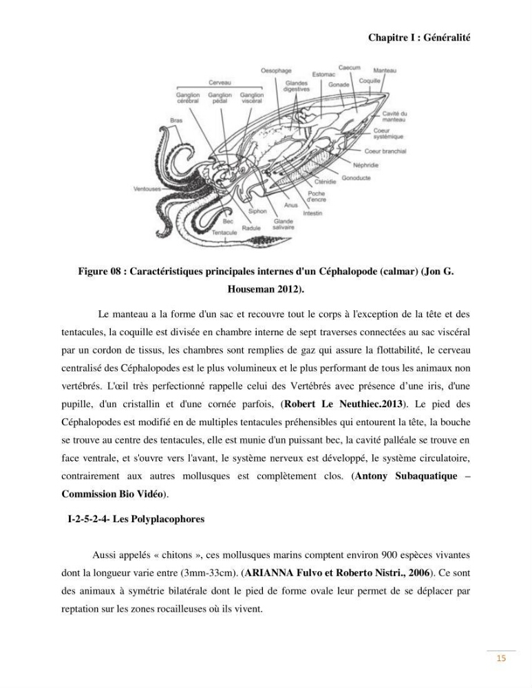 Contribution au recensement des mollusques de la région centre (Alger et Tipaza)