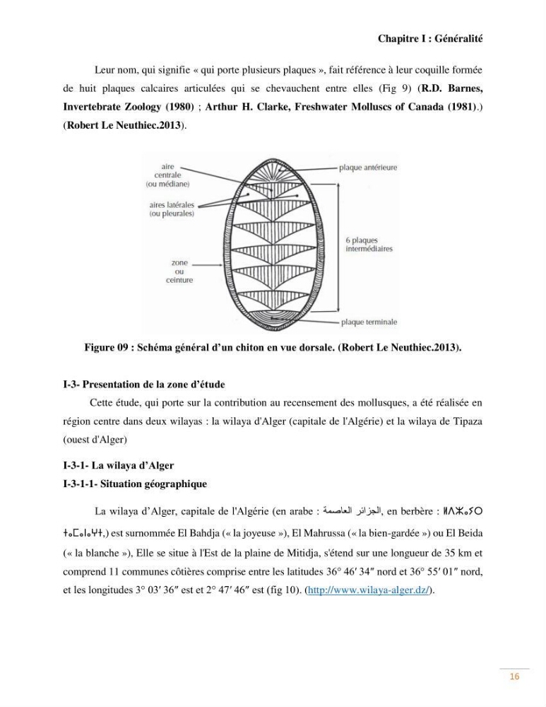 Contribution au recensement des mollusques de la région centre (Alger et Tipaza)
