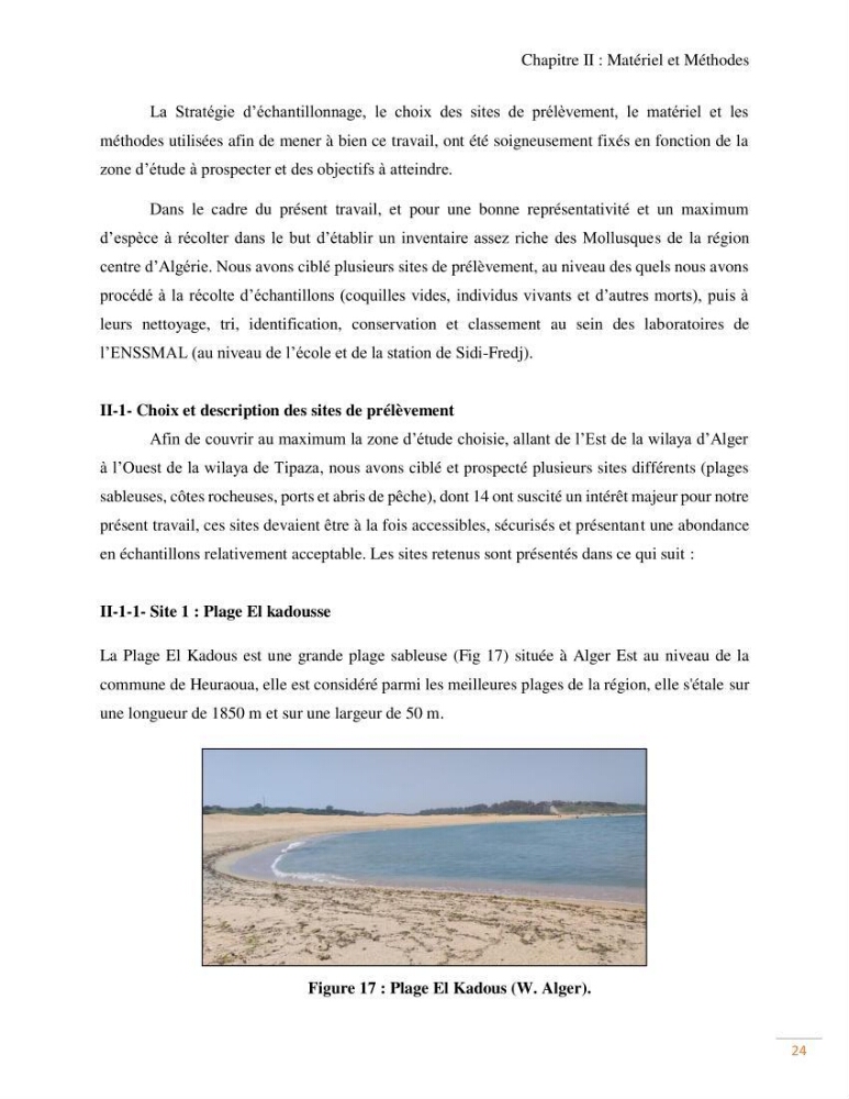 Contribution au recensement des mollusques de la région centre (Alger et Tipaza)