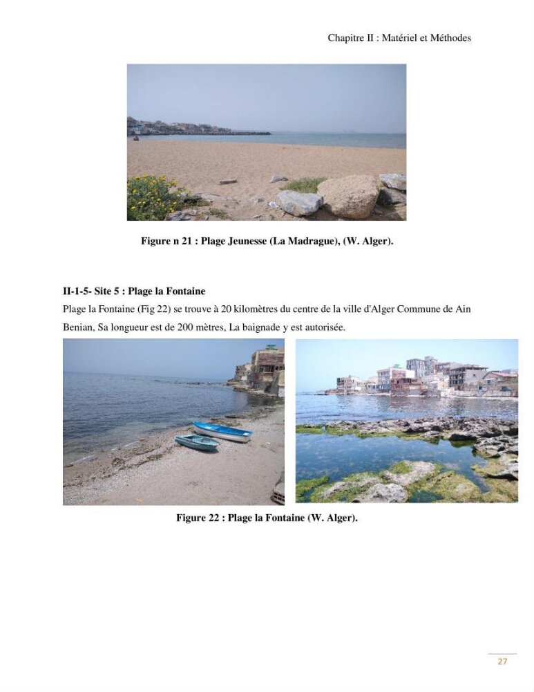 Contribution au recensement des mollusques de la région centre (Alger et Tipaza)