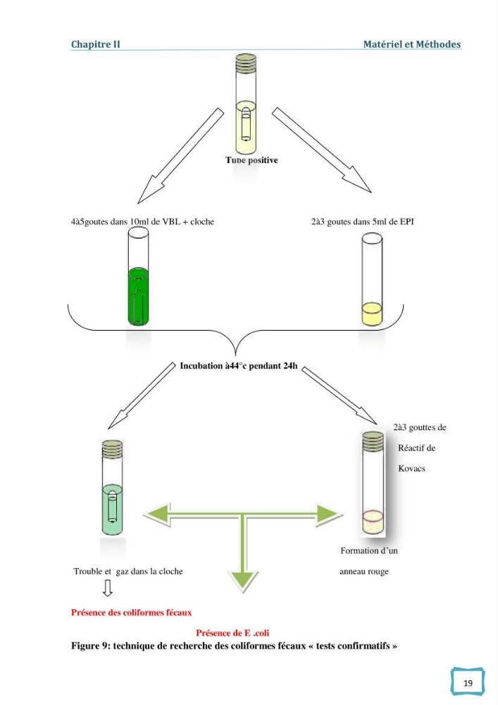 Contribution à l\'étude des paramètres physcio-chimiques et bactériologiques des eaux du port d\'Alger