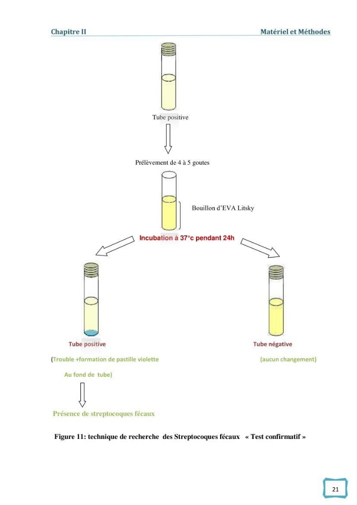 Contribution à l\'étude des paramètres physcio-chimiques et bactériologiques des eaux du port d\'Alger