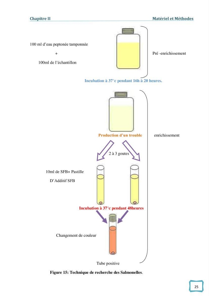 Contribution à l\'étude des paramètres physcio-chimiques et bactériologiques des eaux du port d\'Alger