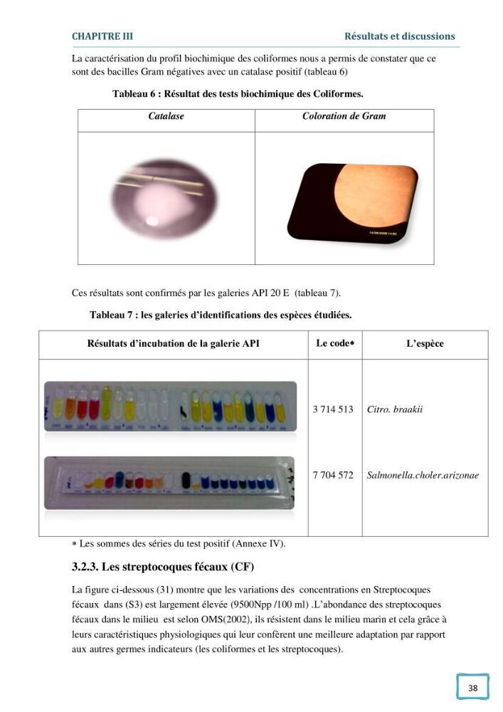 Contribution à l\'étude des paramètres physcio-chimiques et bactériologiques des eaux du port d\'Alger