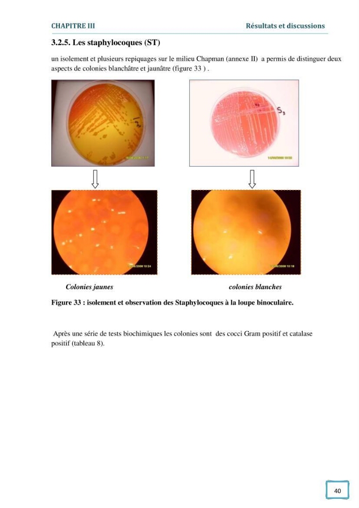 Contribution à l\'étude des paramètres physcio-chimiques et bactériologiques des eaux du port d\'Alger