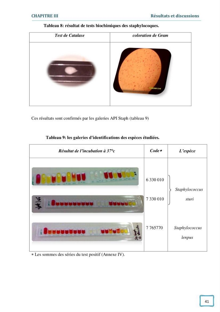 Contribution à l\'étude des paramètres physcio-chimiques et bactériologiques des eaux du port d\'Alger