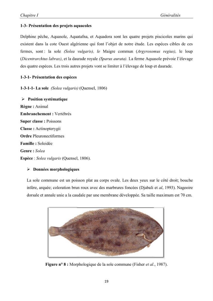 Caractérisation de l\'aquaculture marine au niveau de la côte ouest Algérienne: état actuel et perspectives de développement