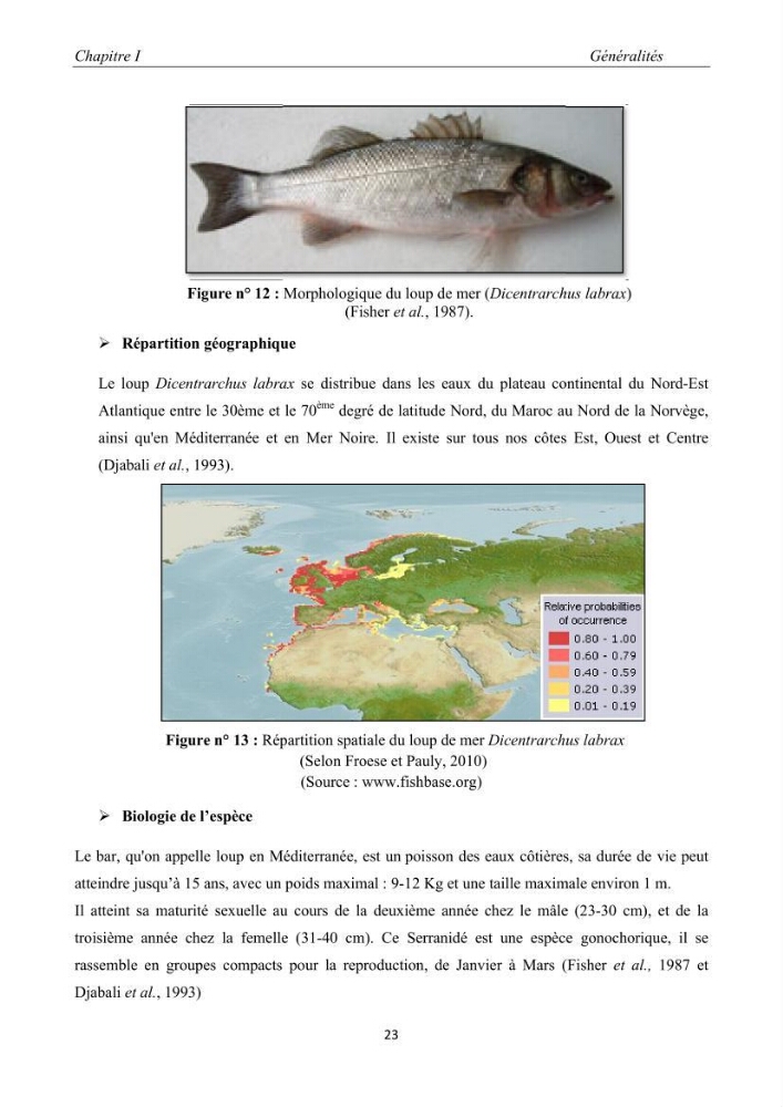 Caractérisation de l\'aquaculture marine au niveau de la côte ouest Algérienne: état actuel et perspectives de développement