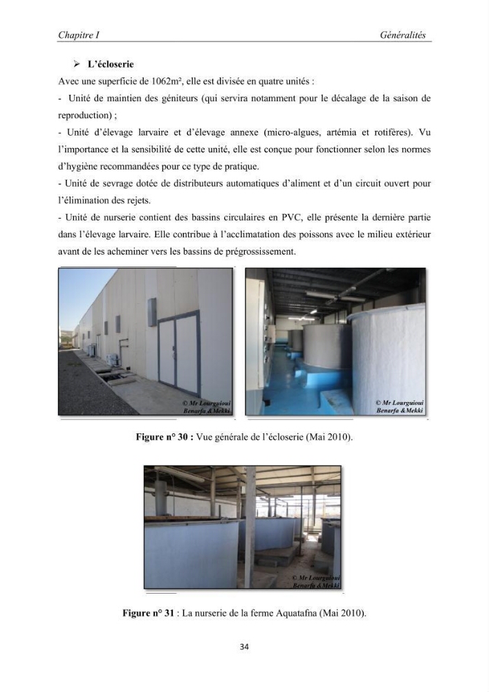 Caractérisation de l\'aquaculture marine au niveau de la côte ouest Algérienne: état actuel et perspectives de développement