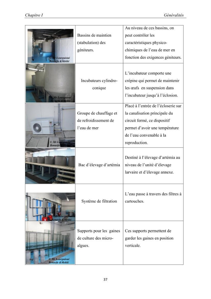 Caractérisation de l\'aquaculture marine au niveau de la côte ouest Algérienne: état actuel et perspectives de développement