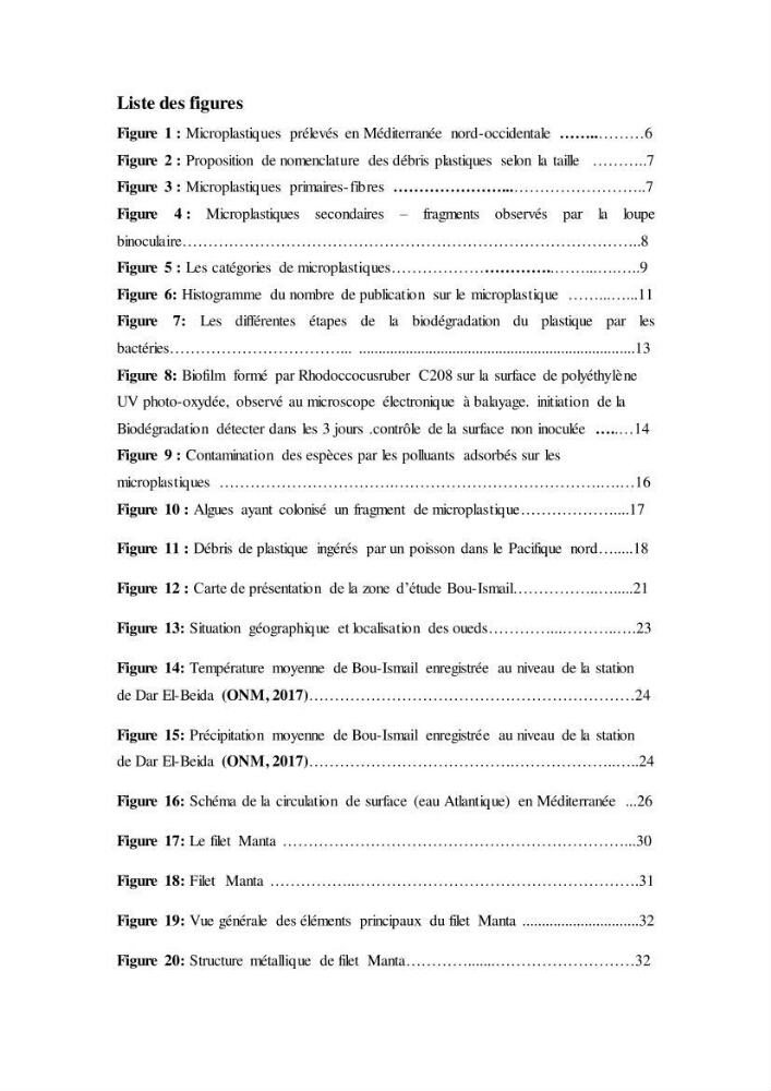 Evaluation quantitative des microplastiques dans la baie de Bou-Ismail