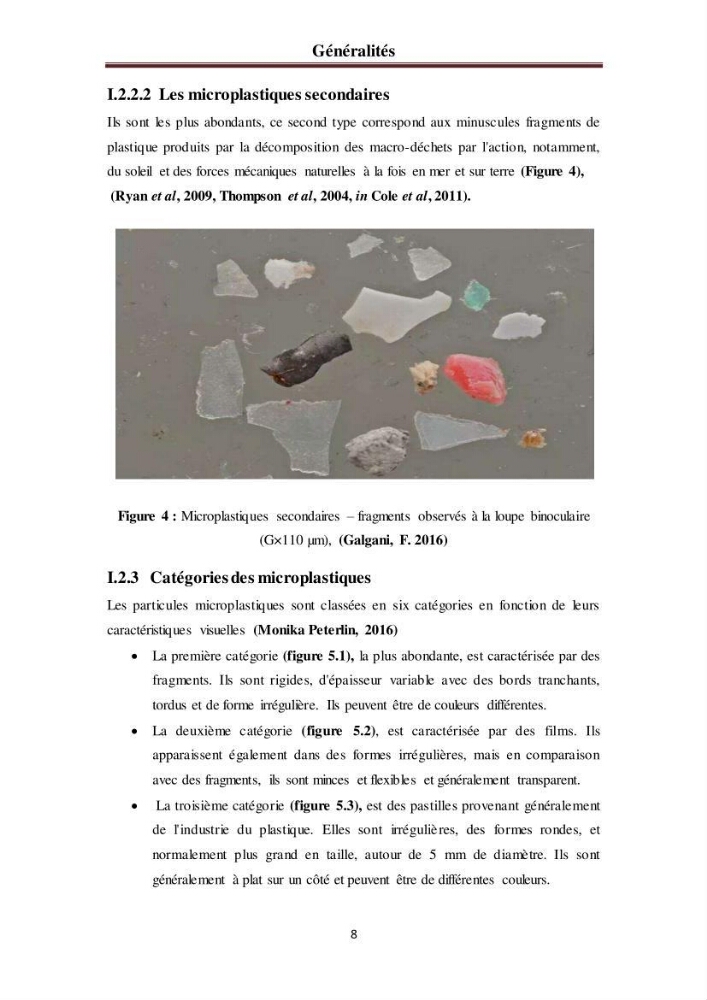 Evaluation quantitative des microplastiques dans la baie de Bou-Ismail