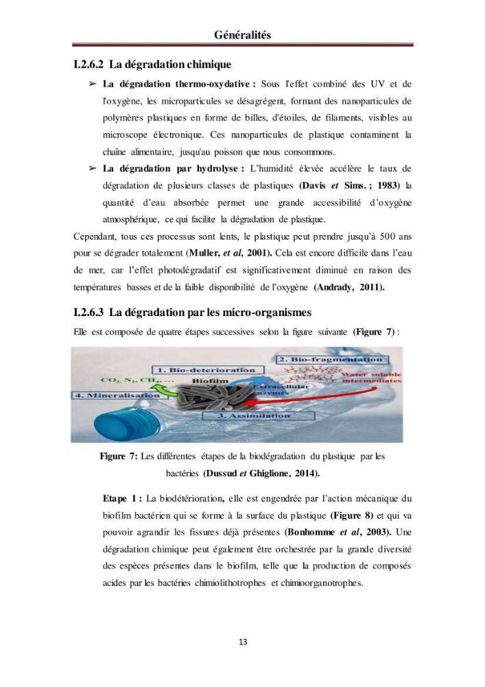 Evaluation quantitative des microplastiques dans la baie de Bou-Ismail