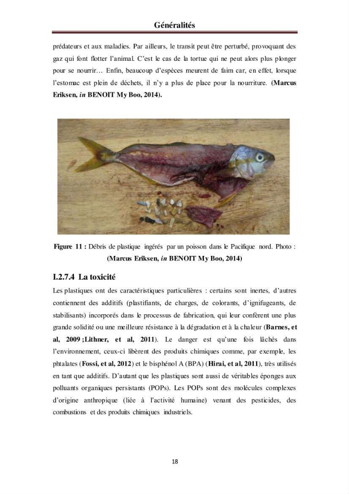 Evaluation quantitative des microplastiques dans la baie de Bou-Ismail