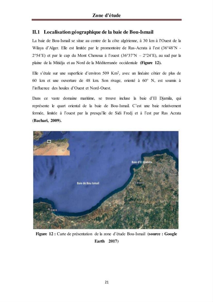 Evaluation quantitative des microplastiques dans la baie de Bou-Ismail