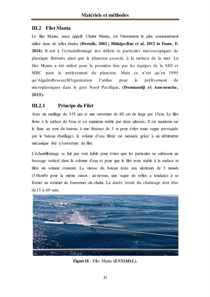 Evaluation quantitative des microplastiques dans la baie de Bou-Ismail