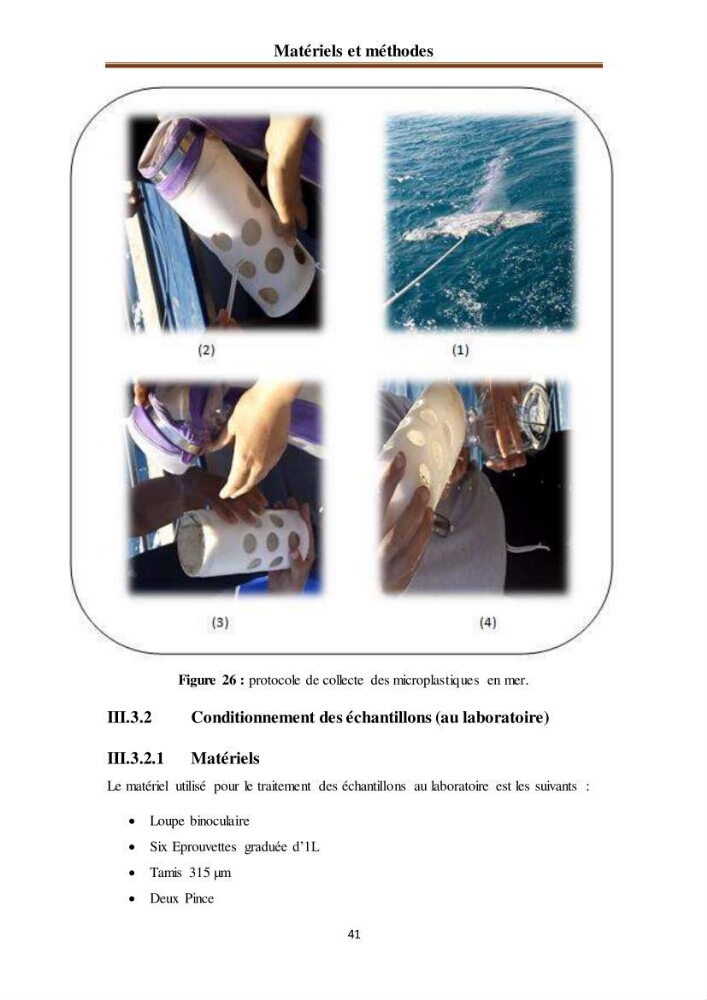 Evaluation quantitative des microplastiques dans la baie de Bou-Ismail