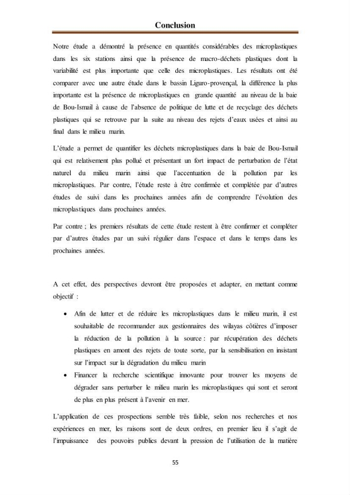Evaluation quantitative des microplastiques dans la baie de Bou-Ismail