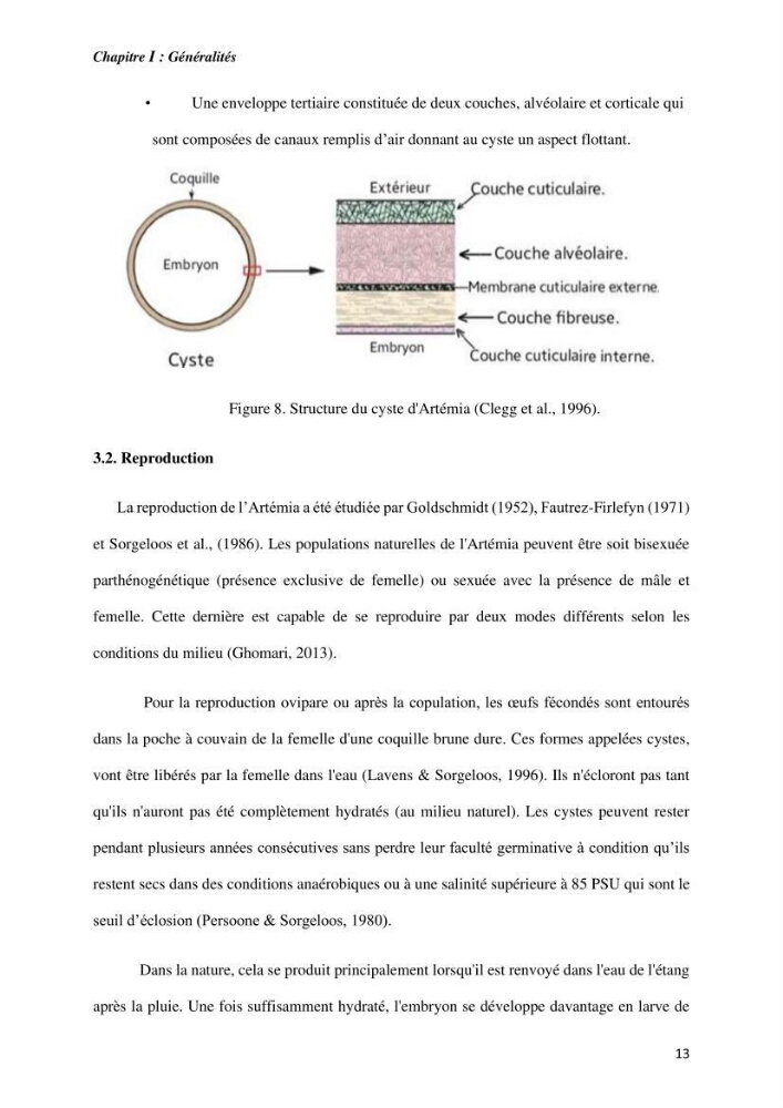Culture des proies vivantes valorisation d\'une souche d\'artémia