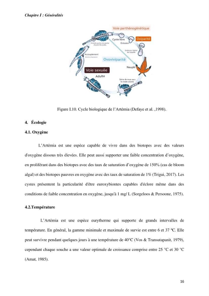 Culture des proies vivantes valorisation d\'une souche d\'artémia