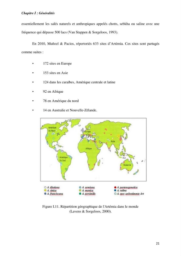 Culture des proies vivantes valorisation d\'une souche d\'artémia