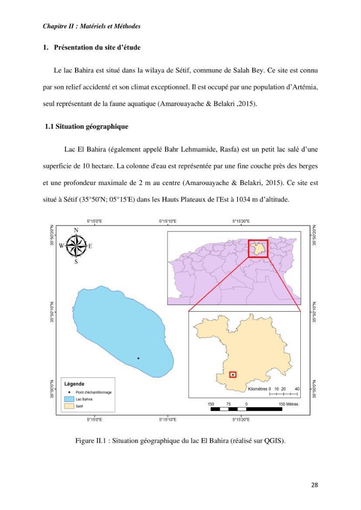 Culture des proies vivantes valorisation d\'une souche d\'artémia