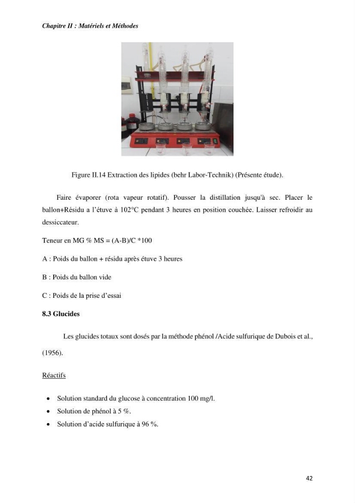 Culture des proies vivantes valorisation d\'une souche d\'artémia
