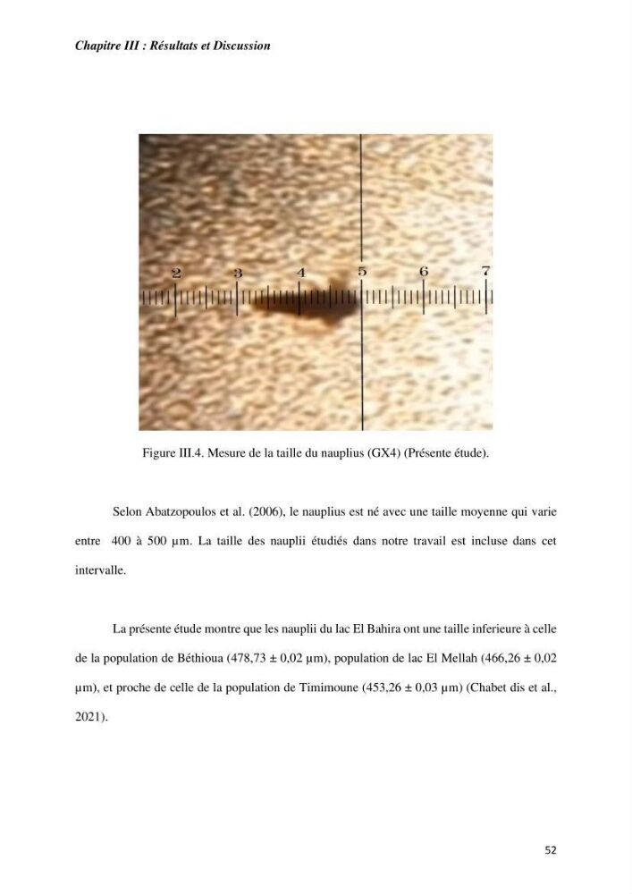 Culture des proies vivantes valorisation d\'une souche d\'artémia