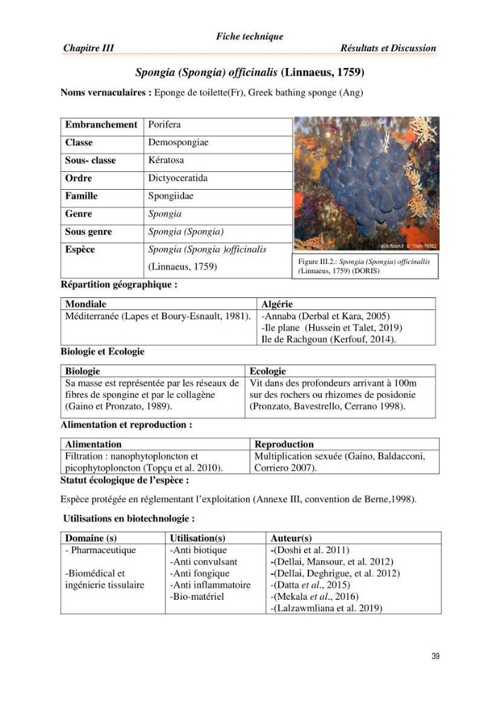 Mise en évidence de la faune marine d’intérêt biotechnologique de la côte algérienne.: