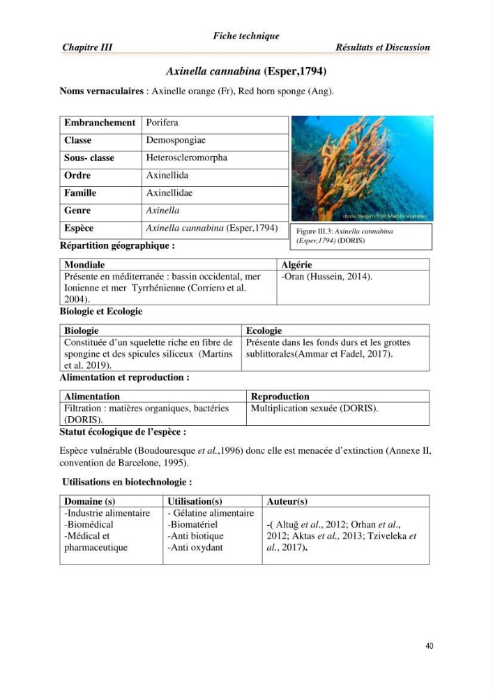 Mise en évidence de la faune marine d’intérêt biotechnologique de la côte algérienne.: