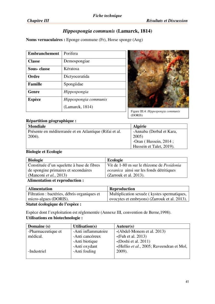 Mise en évidence de la faune marine d’intérêt biotechnologique de la côte algérienne.: