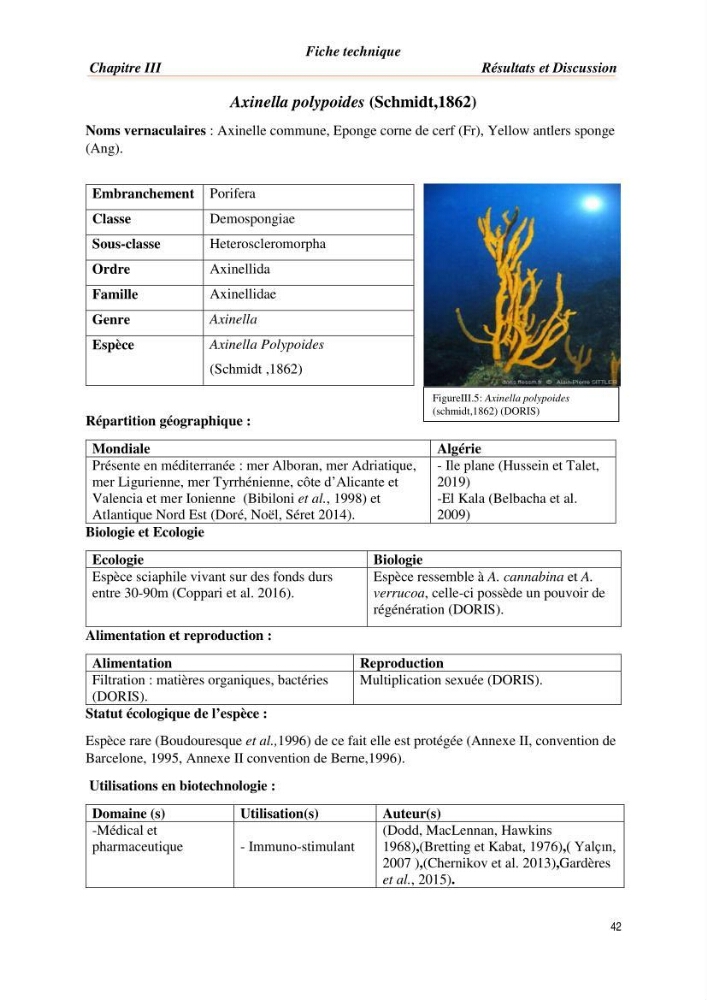 Mise en évidence de la faune marine d’intérêt biotechnologique de la côte algérienne.: