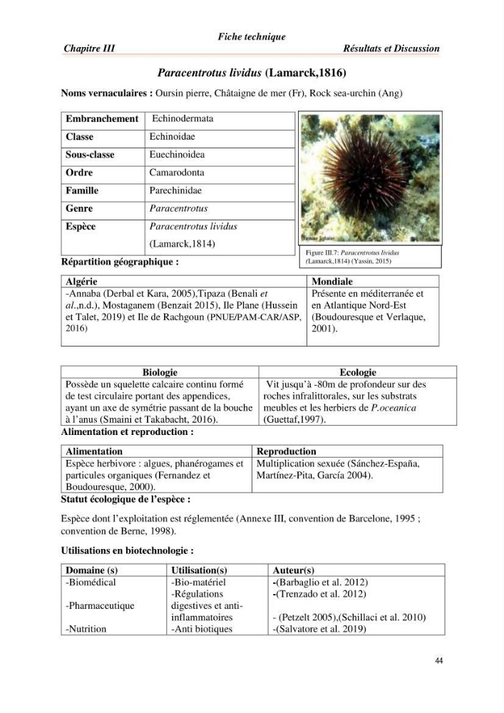 Mise en évidence de la faune marine d’intérêt biotechnologique de la côte algérienne.: