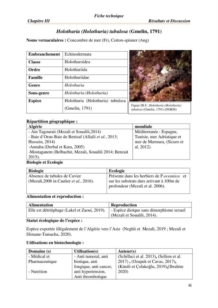 Mise en évidence de la faune marine d’intérêt biotechnologique de la côte algérienne.: