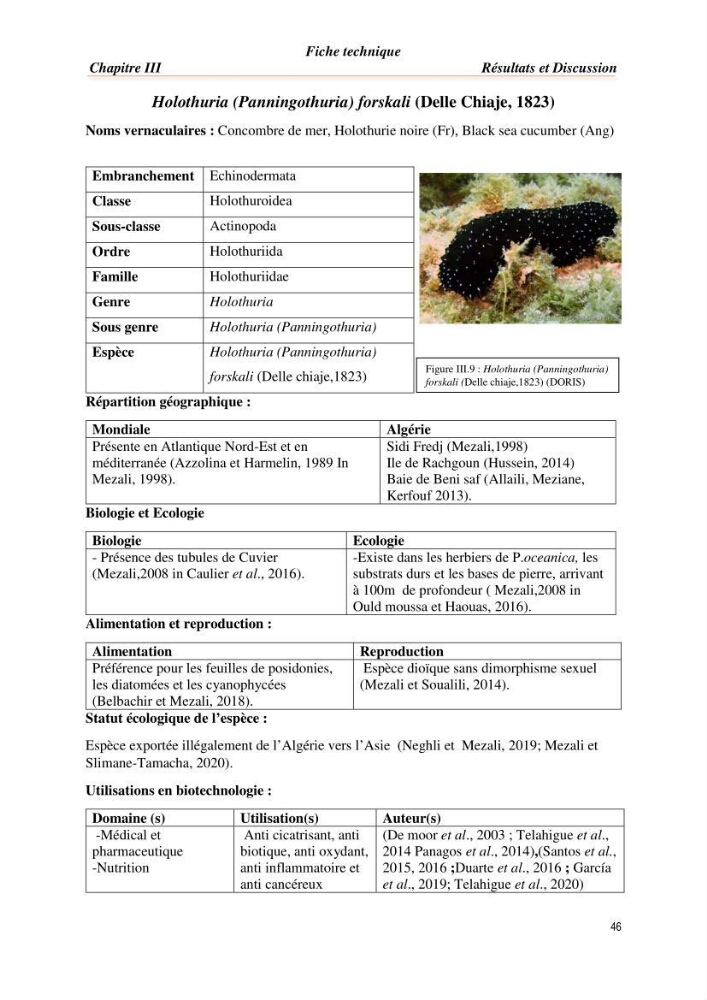 Mise en évidence de la faune marine d’intérêt biotechnologique de la côte algérienne.: