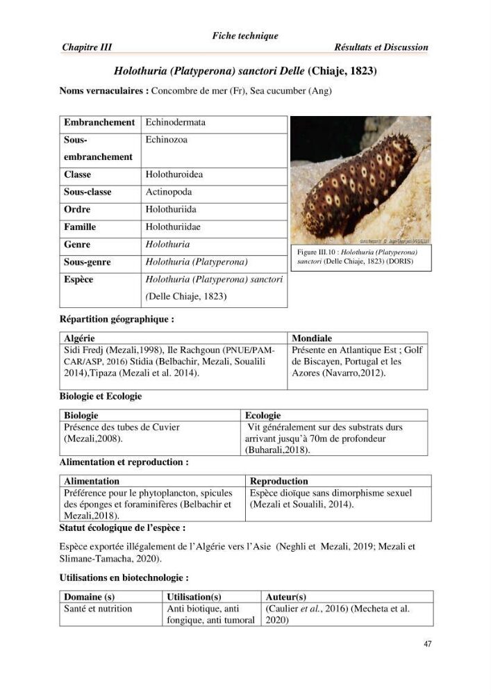 Mise en évidence de la faune marine d’intérêt biotechnologique de la côte algérienne.: