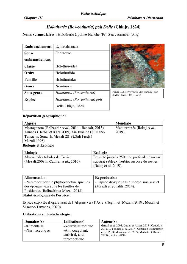 Mise en évidence de la faune marine d’intérêt biotechnologique de la côte algérienne.: