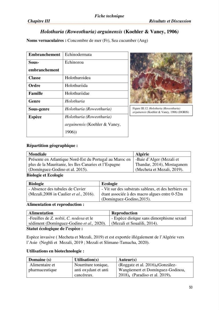 Mise en évidence de la faune marine d’intérêt biotechnologique de la côte algérienne.: