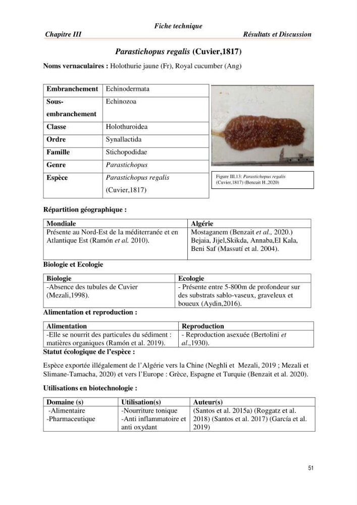 Mise en évidence de la faune marine d’intérêt biotechnologique de la côte algérienne.:
