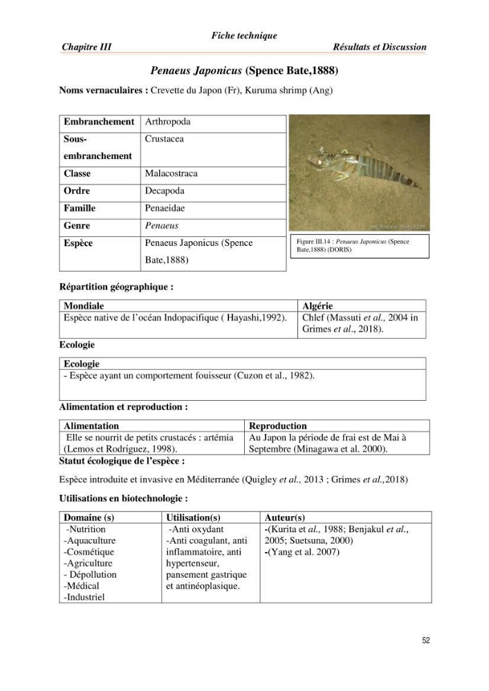 Mise en évidence de la faune marine d’intérêt biotechnologique de la côte algérienne.:
