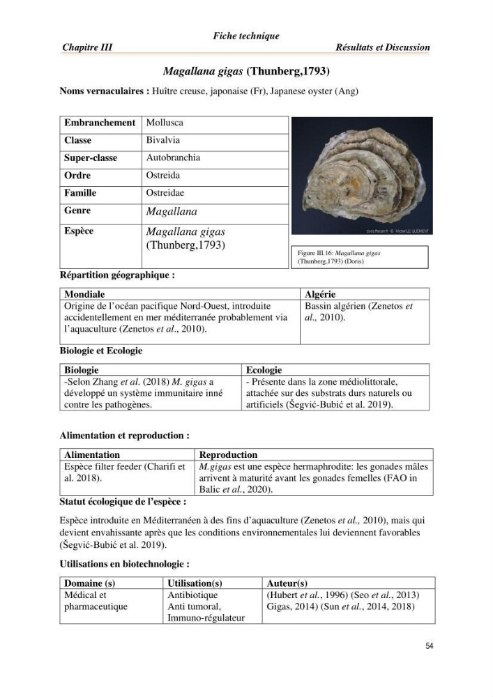 Mise en évidence de la faune marine d’intérêt biotechnologique de la côte algérienne.:
