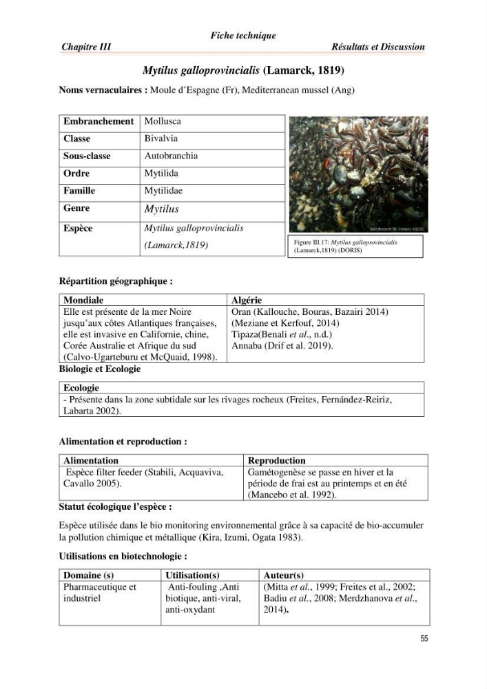 Mise en évidence de la faune marine d’intérêt biotechnologique de la côte algérienne.: