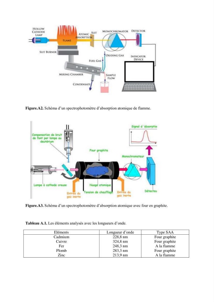 Les interactions environnement -aqaculture : interaction environnementales et optimisation des systemes de production piscicole marine