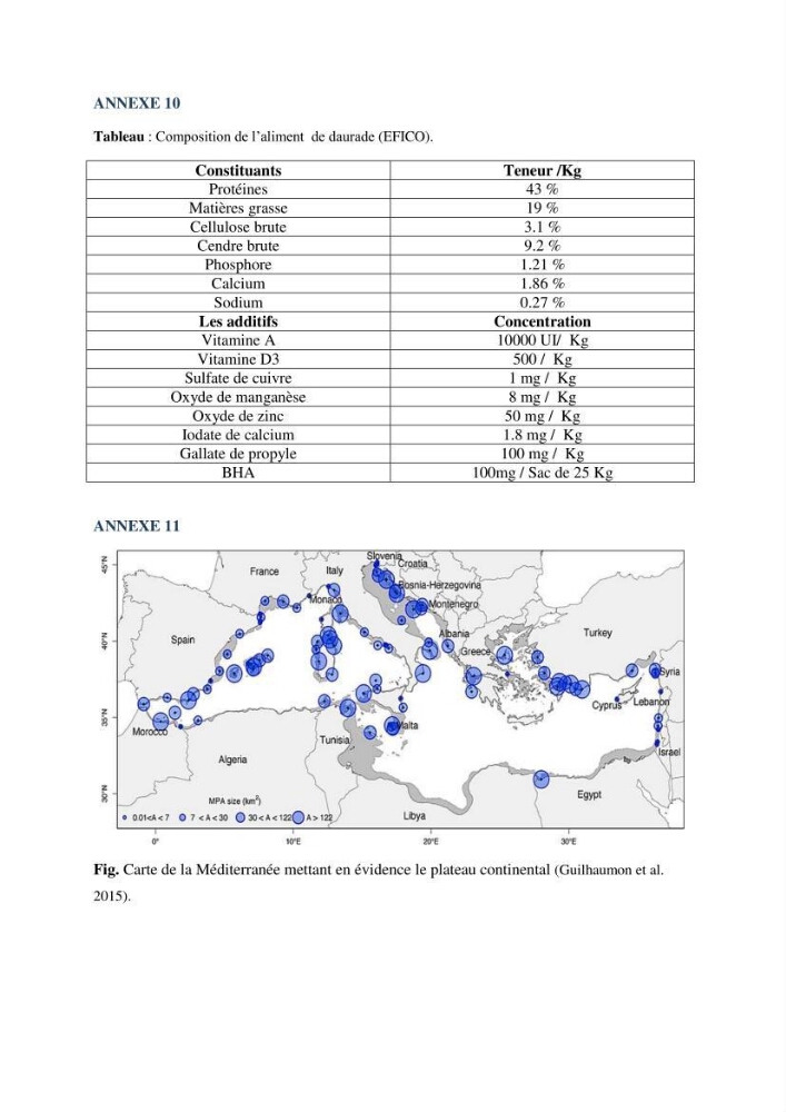 Les interactions environnement -aqaculture : interaction environnementales et optimisation des systemes de production piscicole marine